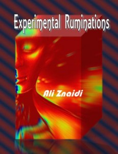 Ali Znaidi's Experimental Ruminations (2)